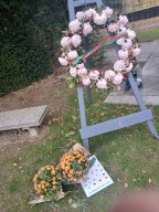 whatsapp image 2025-11-15 at 22.16.26 2